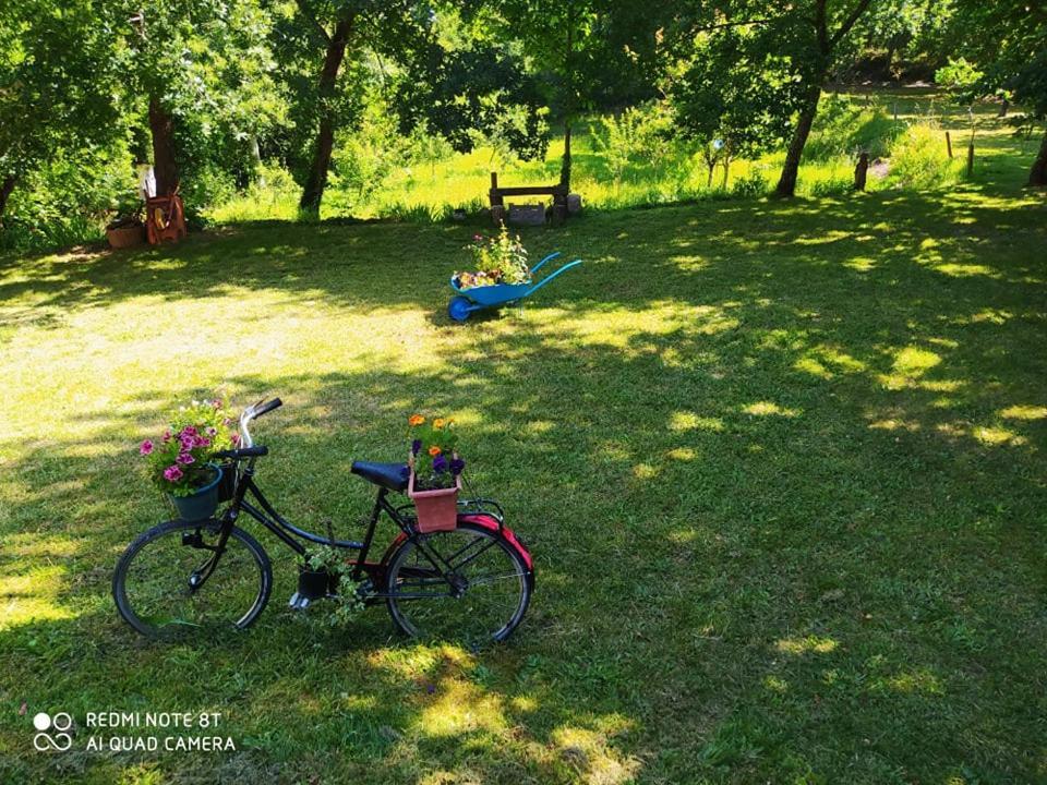 Bed and Breakfast Casas Vale Martinho Santa Comba Dao Zewnętrze zdjęcie