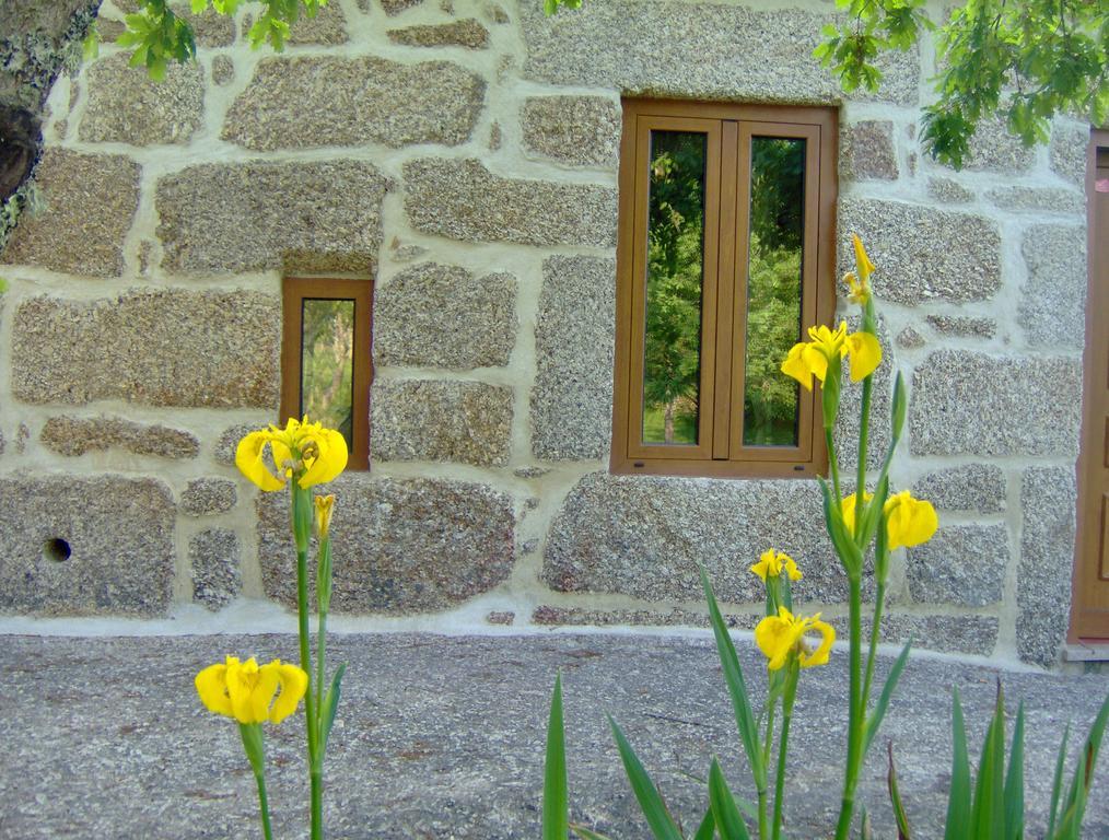Bed and Breakfast Casas Vale Martinho Santa Comba Dao Zewnętrze zdjęcie