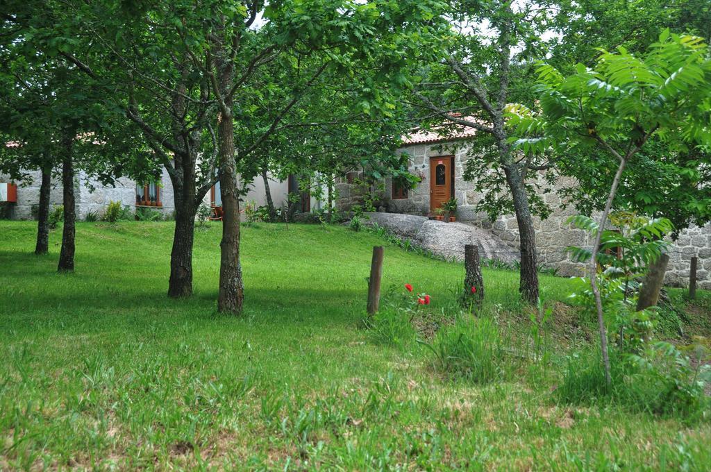 Bed and Breakfast Casas Vale Martinho Santa Comba Dao Zewnętrze zdjęcie
