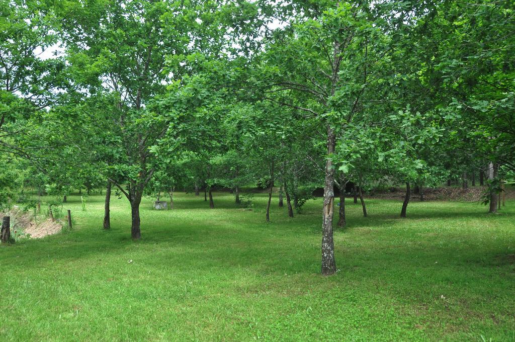 Bed and Breakfast Casas Vale Martinho Santa Comba Dao Zewnętrze zdjęcie