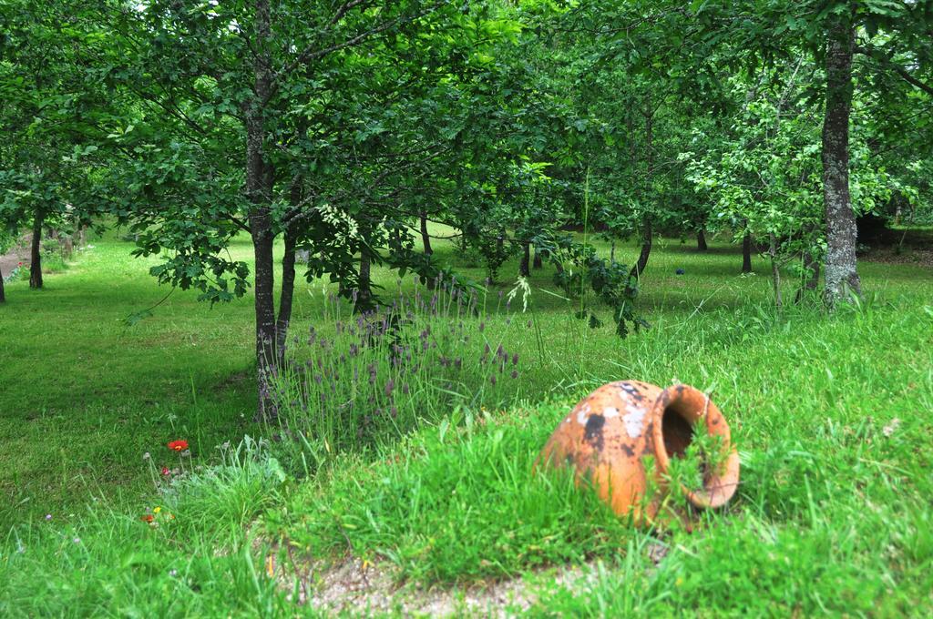 Bed and Breakfast Casas Vale Martinho Santa Comba Dao Zewnętrze zdjęcie